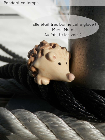 Vignette3