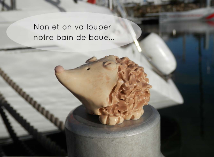 Vignette4