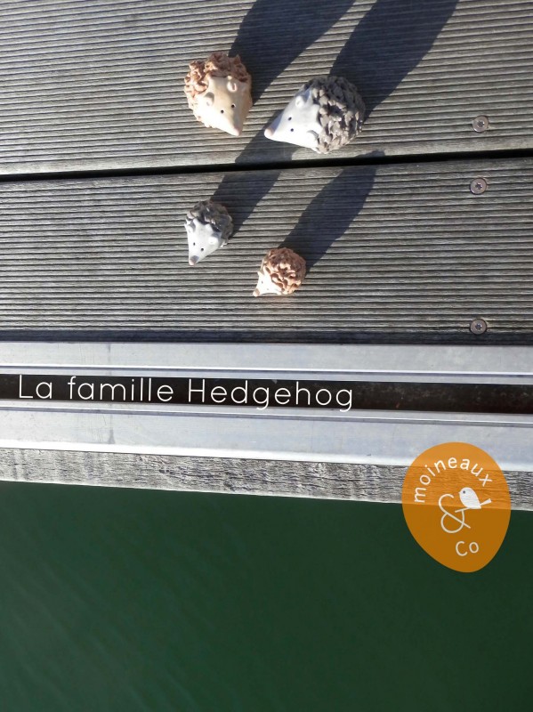 La famille Hedgehog
