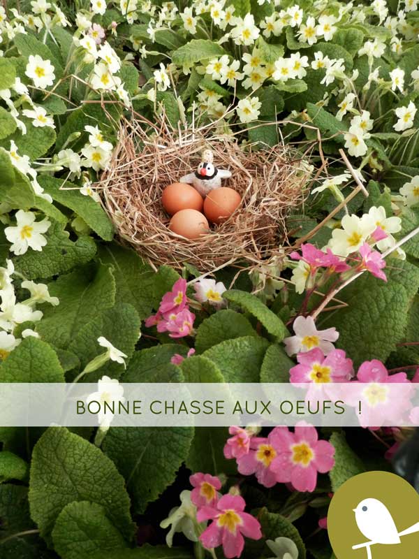 Chasse aux oeufs pour Monsieur Pingouin ! Chasse aux oeufs pour Monsieur Pingouin !
