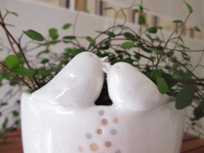 personnalisation-cache-pot-cosmique-(15)