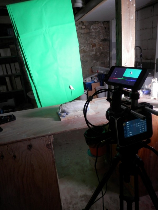 Le petit moineau est filmé sur fond vert (comme pour la météo ;-)). L'idée est de réaliser une petite animation que vous découvrirez dans la vidéo... tournage video presentation moineaux and co atelier boutique createurs quimper fabrication ceramique idées cadeaux