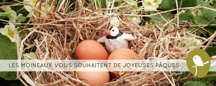 A la chasse... aux oeufs de Pâques