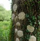 la terre, un chemin vers soi