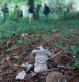 l'argile dans la nature